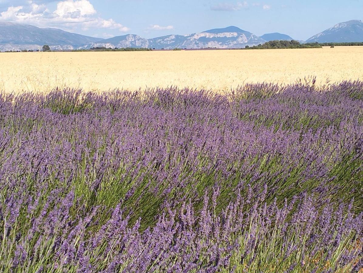 La Provence Vous Attend***!!! - 1Er Etage Digne-les-Bains Exteriér fotografie