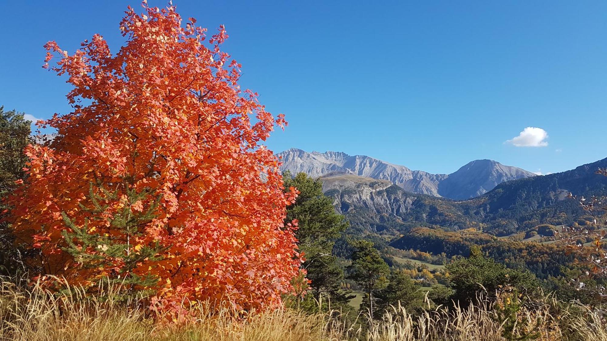La Provence Vous Attend***!!! - 1Er Etage Digne-les-Bains Exteriér fotografie